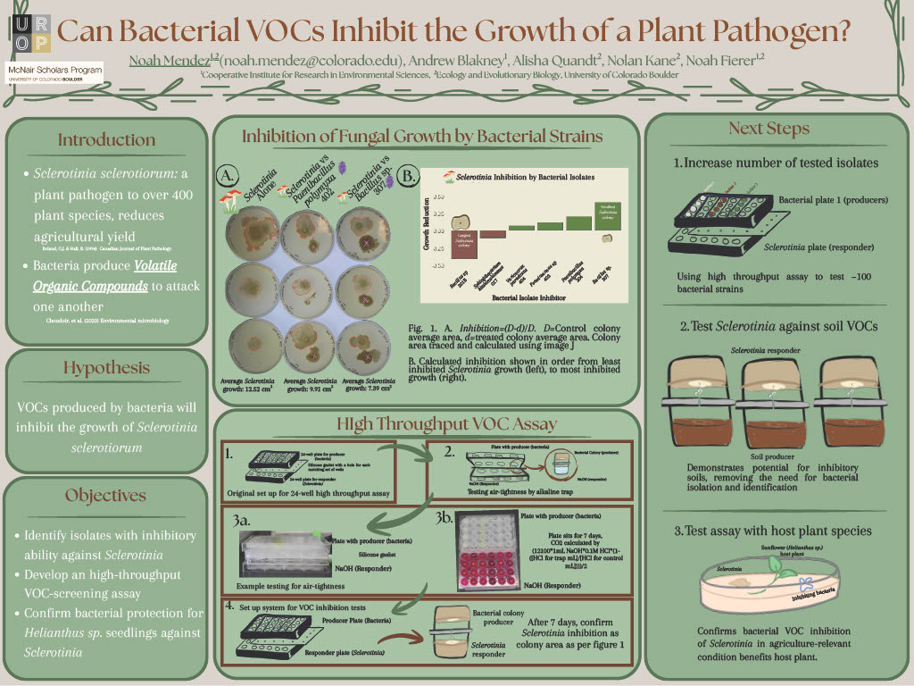 “Gasses and Growth: Studying Inhibition Effects of Microbial VOCs on Sclerotinia and Nitrosospira” 